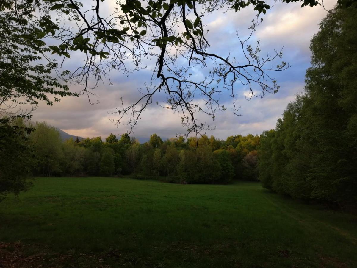 Beatamente B&B Olistico Torrazzo エクステリア 写真